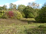 Alderford Common