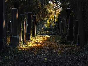 8: Régi zsidó temető, a bécsi Központi Temető része Szerző: User:HeinzLW
