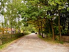 Antiguo camino del molino