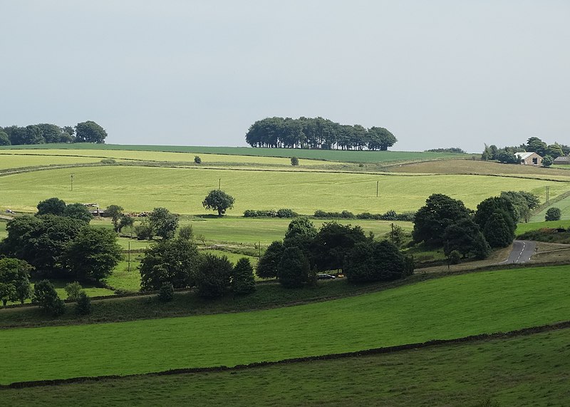 File:Amber Valley View - from Eddlestow Lot - geograph.org.uk - 4050867.jpg