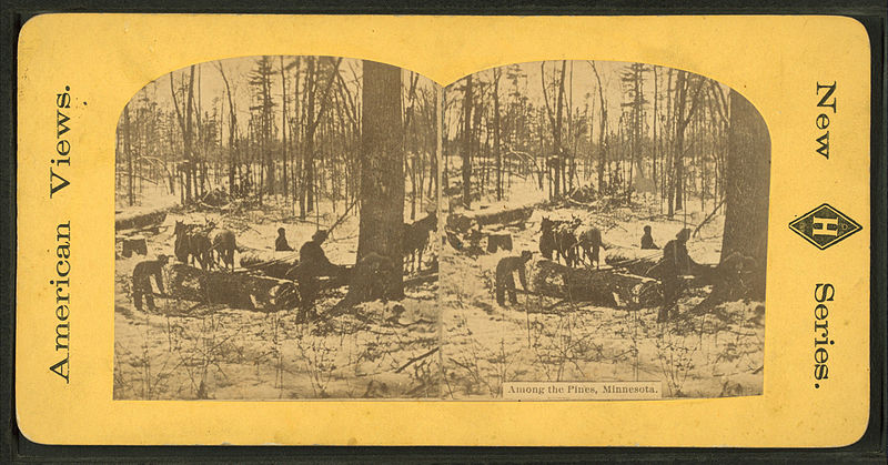 File:Among the pines, Minnesota, from Robert N. Dennis collection of stereoscopic views.jpg