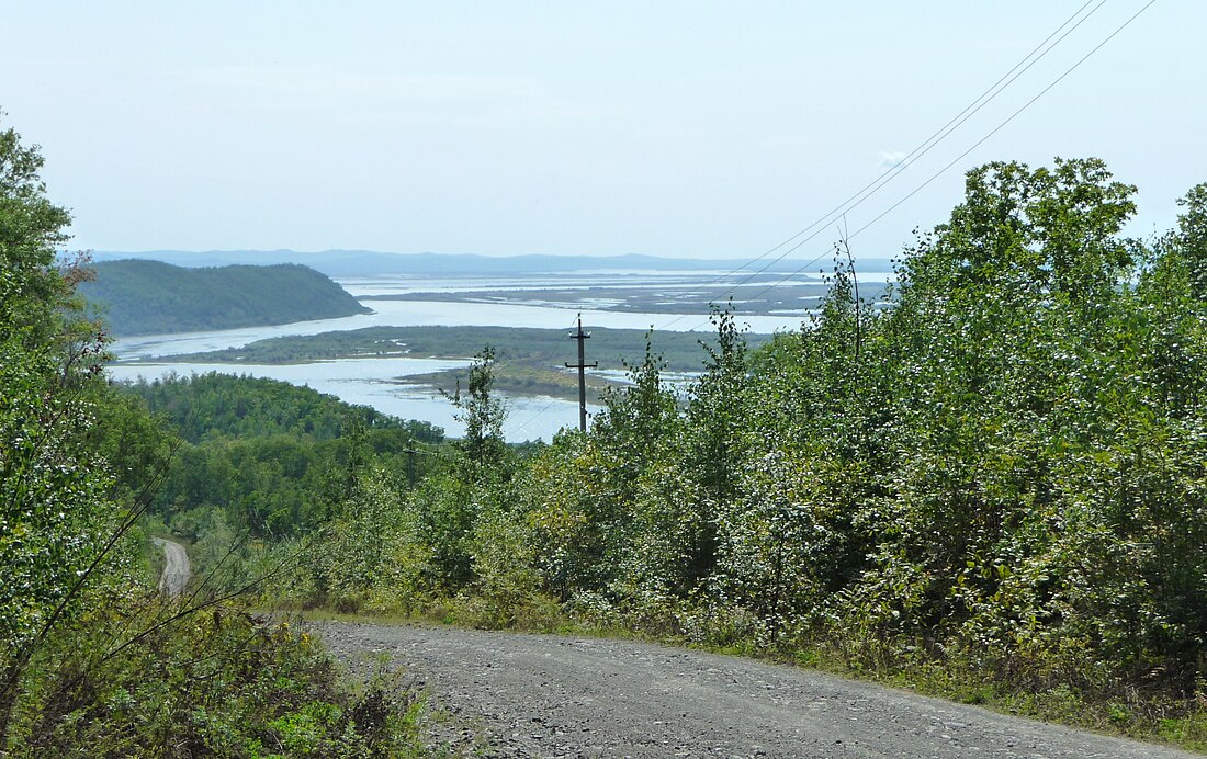 Amur River