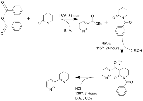 Sintesis Anabaseine