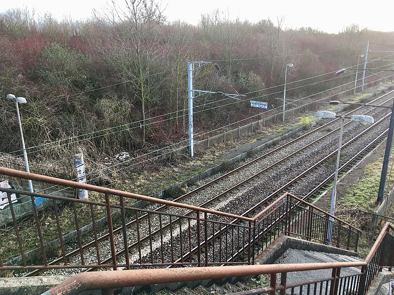 File:Ancienne gare de Champ-du-Chêne.jpg