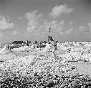 Contractarbeiders aan het werk bij de zoutpannen in 1947