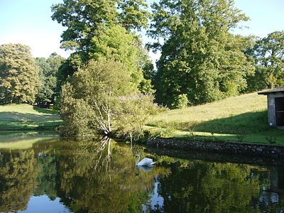 L'arboretum du château de Neuvic d'Ussel.