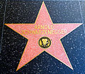 Arnold Schwarzenegger's star