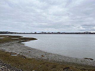 <span class="mw-page-title-main">Back Cove (Maine)</span> Cove in Maine, United States