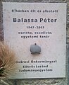 Balassa Péter Gellérthegy utca 31.