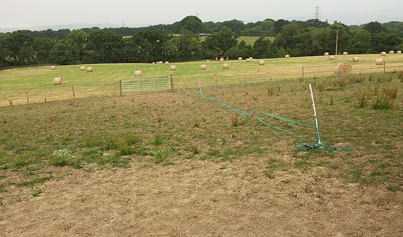 File:Bales of straw north of Chudleigh Knighton - geograph.org.uk - 5840121.jpg