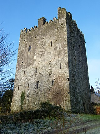 <span class="mw-page-title-main">Ballaghmore, County Laois</span> Village with castle in County Laois, Ireland
