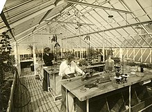 Students conducting experiments in the greenhouse, c. 1912 BarnardGreenhouse.jpg