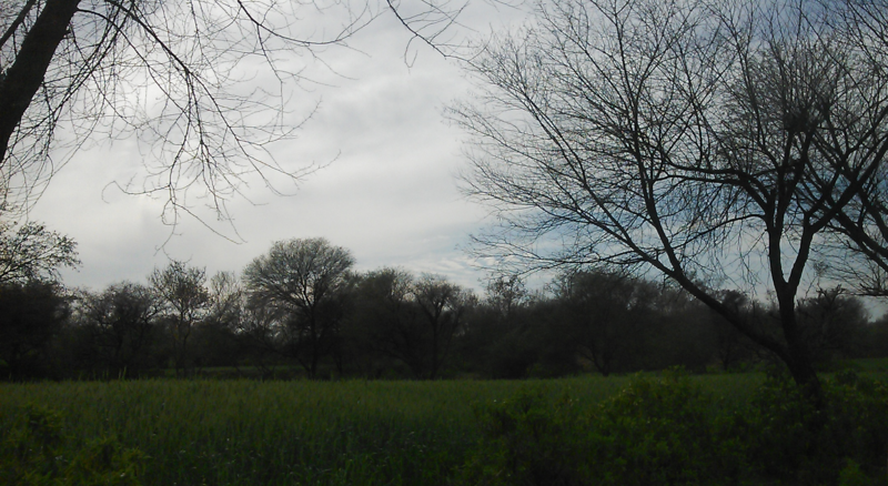 File:Beautiful green Fields with a cloudy weather.png