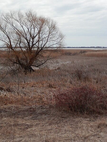 File:Behind Bird Studies Canada 02.JPG