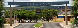 Entrada de Papagaios