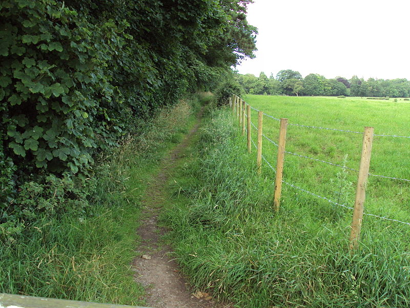 File:Benkid77 Brimstage-Parkgate footpath 2 240709.JPG