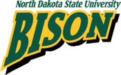 Bison 2005-11.png