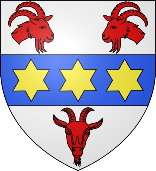 File:Blason famille nl d'Hovynes.svg