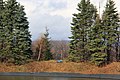 Blue Knob Ski Resort and Blue Knob State Park - panoramio (24).jpg