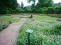 Deutsch: Blumen- und Heckengarten im Hammer Park, Hamburg.