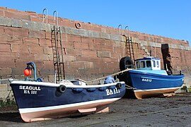 BA111 Seagull (ship, 2006)