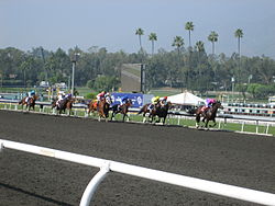 The championship races in 2009 (pictured) were the second year to have a day devoted to female horses. Since 2013, the gender on both days is mixed between races. Breeders Cup 2009 002 (4108584368).jpg