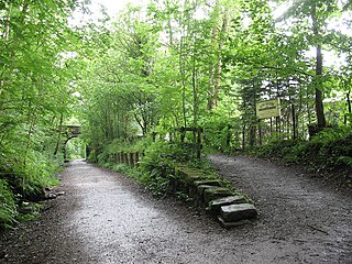 <span class="mw-page-title-main">Briery Siding Halt railway station</span> Disused railway station in Briery, Cumbria