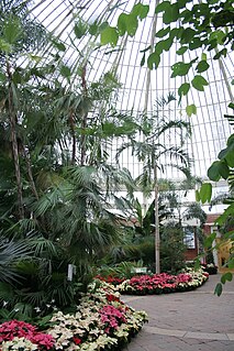 Interior de la bóveda central del invernadero del Jardín Botánico de Buffalo, New York