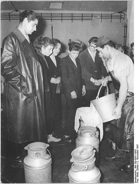 File:Bundesarchiv Bild 183-50821-0002, Berlin, Jugendstunde in einer LPG.jpg