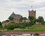 Château de Klopp au-dessus de Bingen am Rhein.