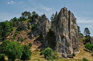 50. Platz: Würmchen mit …