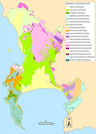 <span class="mw-page-title-main">Biodiversity of Cape Town</span> Diversity of the natural environment of Cape Town