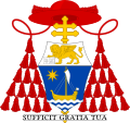 Cardinal Scola of Venice