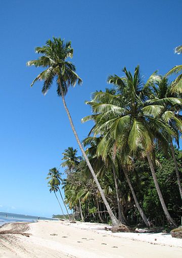 Carneiros Beach Beach Carneiros Beach.jpg