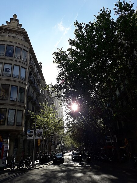 File:Carrer de Trafalgar - 20230421 190633.jpg