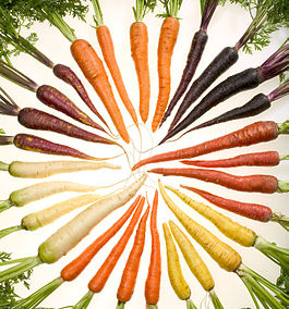 Carrots of many colors cutout.jpg