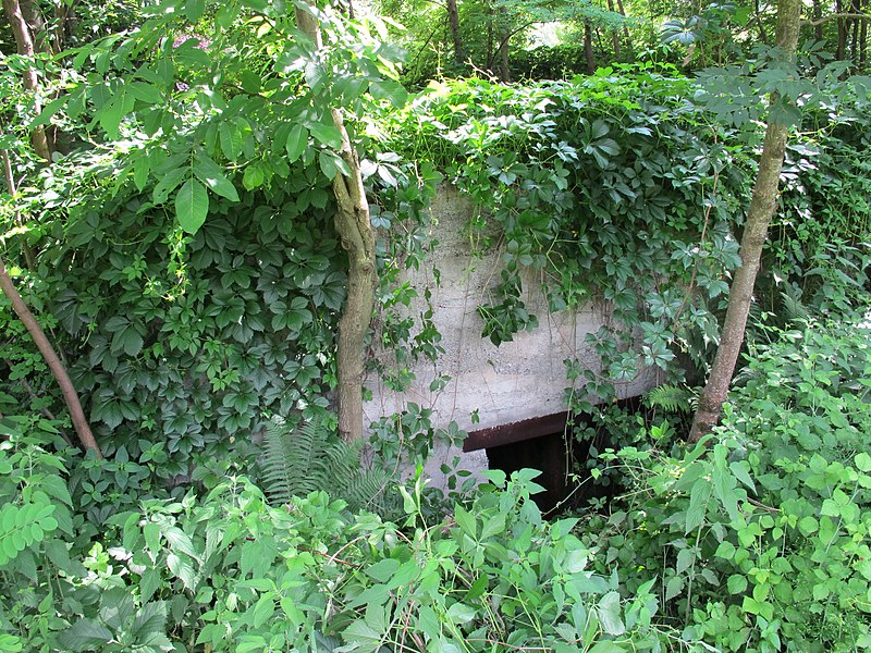 File:Casamatta del Ridotto Alpino Repubblicano in Valtellina - panoramio.jpg