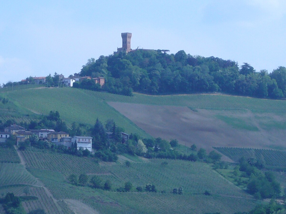 comune di cigognola song