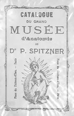 Thumbnail for File:Catalogue du musée anatomique anthropologique et ethnographique du Dr P. Spitzner (IA BIUSante 156766x239x09).pdf
