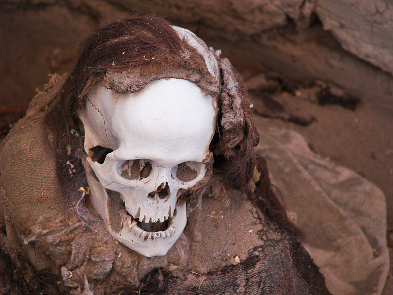 File:Chauchilla Cemetery skull.jpg