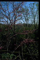 Chesapeake and Ohio Canal National Historical Park CHOH9628.jpg