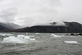 Chunks of ice in Pangnirtung Fiord.jpg