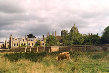Peterhouse, view from Coe Fen Coe Fen, Cambridge.jpg