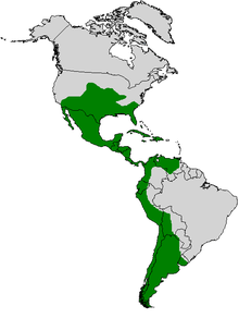 Colias cesonia aralığı haritası.