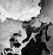 Columbia Glacier, Heather Island, Calving terminus, August 27, 1963 (GLACIERS 1012).jpg