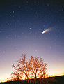 Comet-Hale-Bopp-29-03-1997 hires.jpg