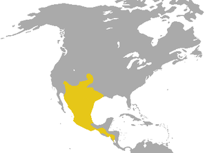 Conepatus leuconotus map.png