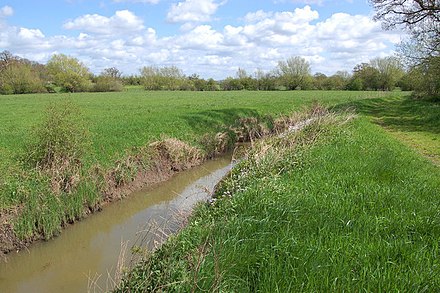 Coombe Hill Nature Reserve. Coombe Hill Nature Reserve - geograph.org.uk - 774614.jpg