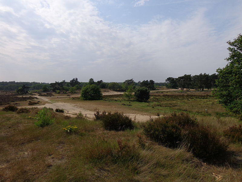 File:Den Treek Henschoten, Heide.JPG