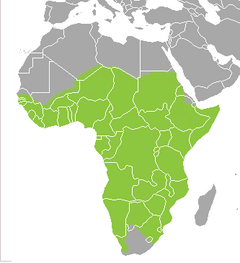 Roheline on mambade levila Aafrikas